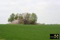 Rothschönberger Stollen im Bergbau Revier Freiberg, Erzgebirge, Sachsen, (D) (65) 05. Mai 2005 Lichtloch VI.jpg